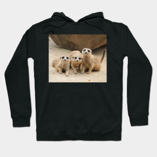 Our Cuteness Comes In A Package Deal, 3 For 1! Hoodie